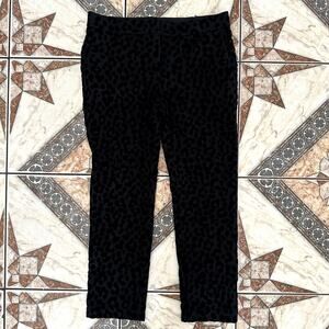 Size 2 Ann Taylor‎ Black Velvet Leopard Print Pant